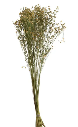 Svazek sušených květin Len žlutý - 12*10*70 cm J-Line by Jolipa