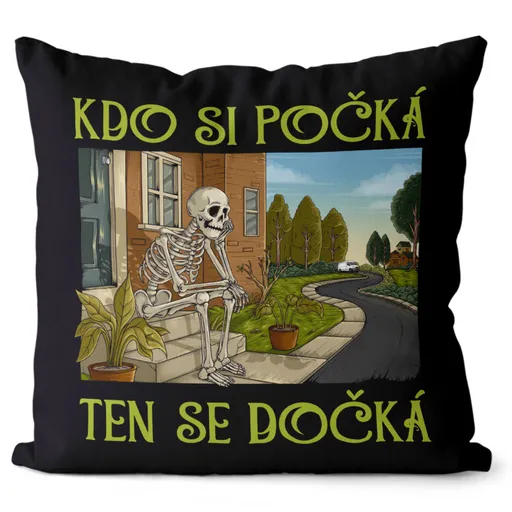 Polštář Čekání na kurýra (Velikost: 40 x 40 cm)