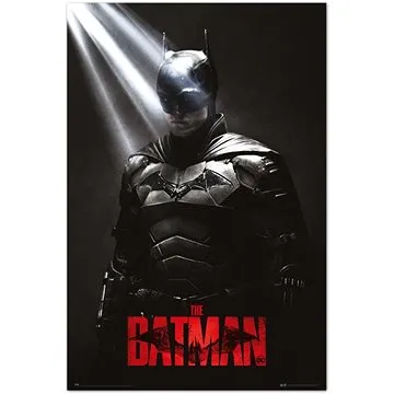 DC Comics - Batman - I Am The Shadows - plakát (8435497272982)