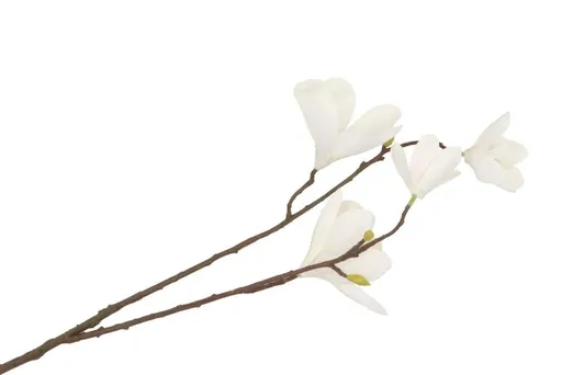 Dekorace umělá hedvábná větvička Magnólie s bílými květy - 70 cm Clayre & Eef