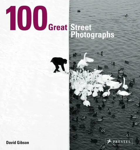 100 Great Street Photographs - David Gibson