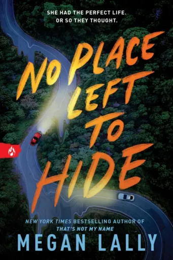No Place Left to Hide - Lally Megan