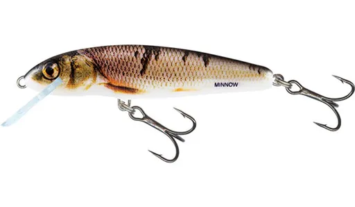 Salmo Wobler Minnow Sinking 7cm - Wounded Dace,Salmo Wobler Minnow Sinking 7cm - Wounded Dace