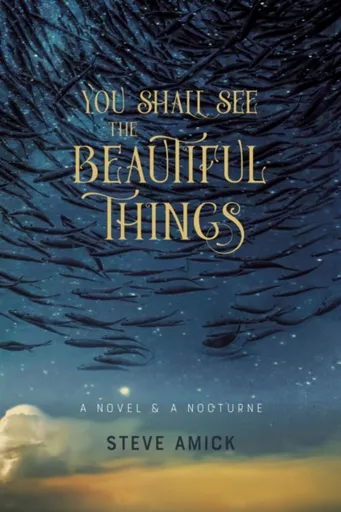 You Shall See the Beautiful Things â€“ A Novel & A Nocturne - Steve Amick