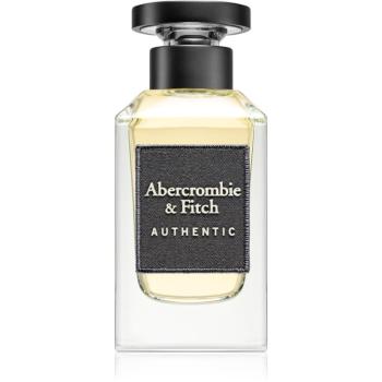 Abercrombie & Fitch Authentic toaletní voda pro muže 100 ml