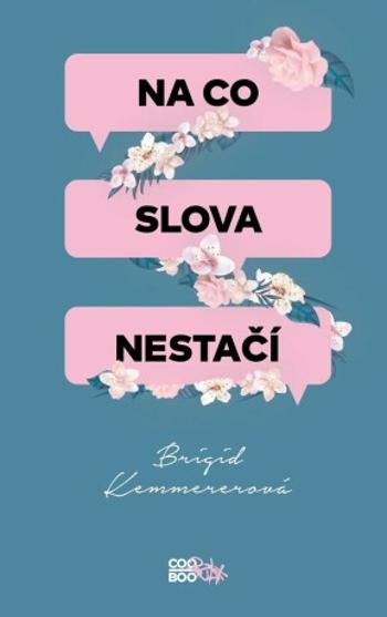 Na co slova nestačí - Brigid Kemmererová - e-kniha