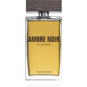 Yves Rocher Ambre Noir toaletní voda pro muže 100 ml