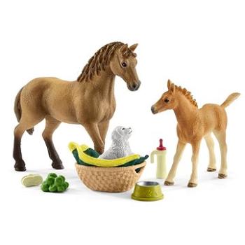 Schleich Set hříbě a Quarter kůň se štěňátkem a doplňky 42432 (4059433572772)