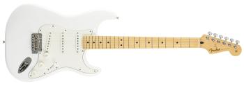 Fender Player Stratocaster MN PWT