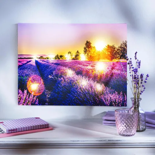 LED obraz Levandulové pole