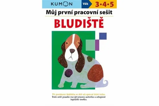 Můj první pracovní sešit Bludiště  Giovanni K. Moto, Toshihiko Karakida, Yoshiko Murakami - Toshihiko Karakida, Yoshiko Murakami, Giovanni K. Moto