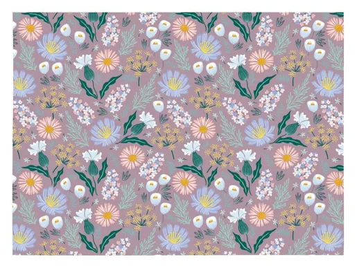 Balicí papír K358 100x70 LUX