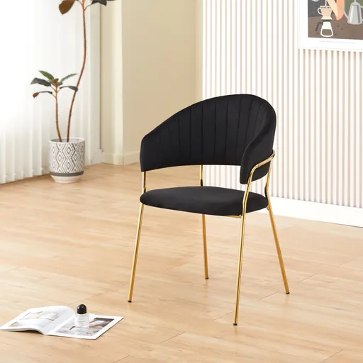 Jídelní židle DASMIN 1 Tempo Kondela