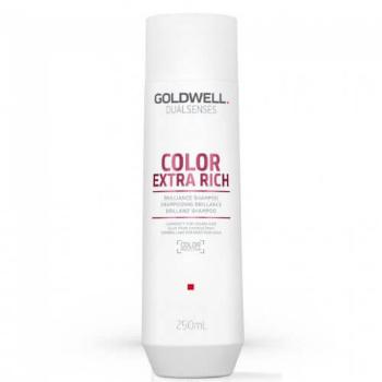 Goldwell Šampon pro extra péči o barvené vlasy Dualsenses Color Extra Rich (Brilliance Shampoo) 250 ml