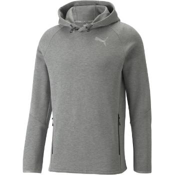 Puma EVOSTRIPE HOODIE Sportovní mikina, šedá, velikost