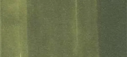 Copic sketch marker - YG99 marine green