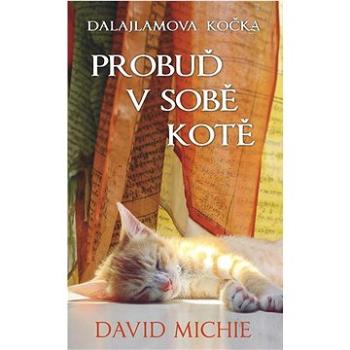 Dalajlamova kočka Probuď v sobě kotě (978-80-7370-621-0)