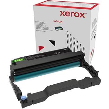 Xerox 013R00691 (013R00691)