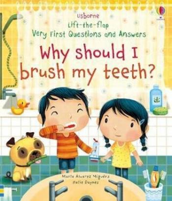 Why Should I Brush My Teeth? - Katie Daynes