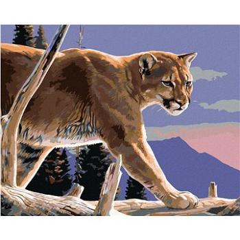 Zuty - Malování podle čísel - PUMA NA VĚTVI V HORÁCH (AL AGNEW), 80x100 cm, vypnuté plátno na rám (HRAmmb05535nad)