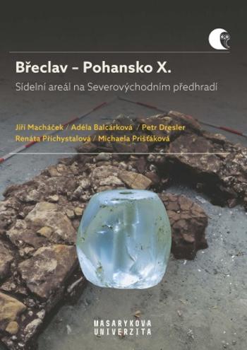 Břeclav – Pohansko X.  Sídelní areál na Severovýchodním předhradí - Jiří Macháček, Petr Dresler, Renáta Přichystalová, Adéla Balcárková - e-kniha