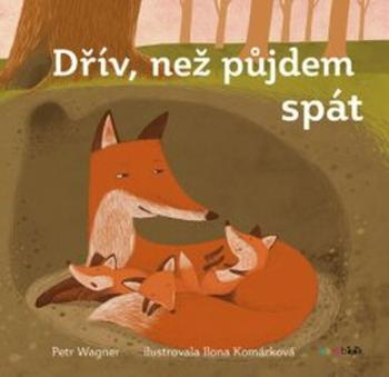 Dřív, než půjdem spát - Petr Wagner, Ilona Komárková