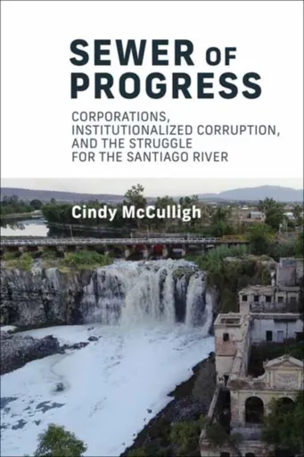 Sewer of Progress - Cindy Mcculligh