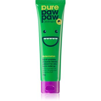 Pure Paw Paw Watermelon balzám na rty a suchá místa 25 g