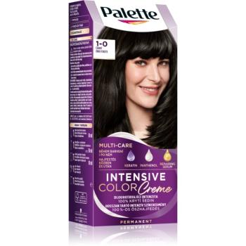 Schwarzkopf Palette Intensive Color Creme permanentní barva na vlasy odstín 1-0 N1 Black 1 ks