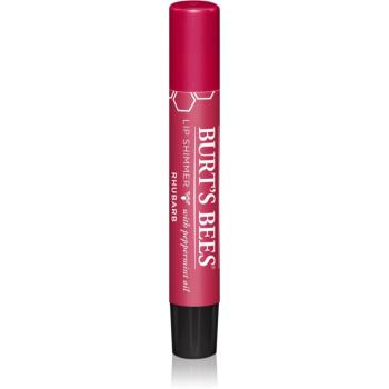 Burt’s Bees Lip Shimmer lesk na rty odstín Rhubarb 2.6 g