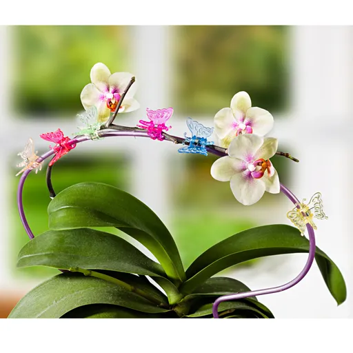 6 květinových klipů Motýl