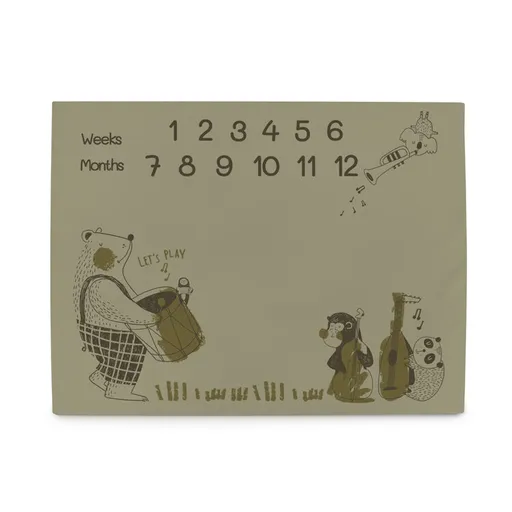 CEBA BABY Podložka milníková na focení (92x72) Basic Band