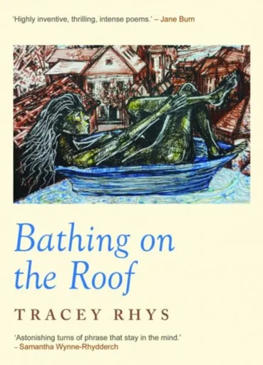 Bathing on the Roof - Tracey Rhys