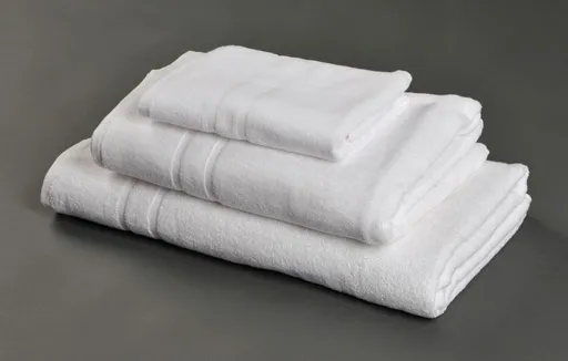 Profod Hotelová osuška 70x140