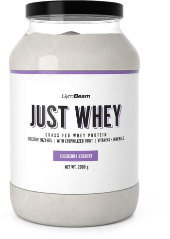 Protein GymBeam Protein Just Whey 2000 g, blueberry  yoghurt