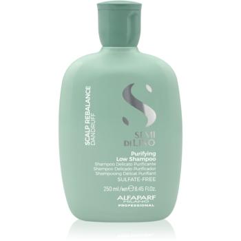 Alfaparf Milano Semi Di Lino Scalp Rebalance jemný čisticí šampon proti lupům 250 ml