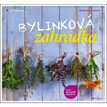 Bylinková zahrádka: Co je skutečně důležité (978-80-247-5253-2)