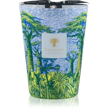 Baobab Collection Sacred Trees Yarani vonná svíčka 24 cm