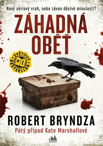 Záhadná oběť - Robert Bryndza