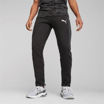 Puma EVOSTRIPE Pants DK XXL