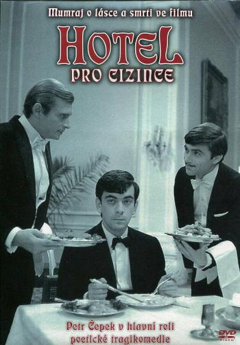 Hotel pro cizince (DVD) (papírový obal)