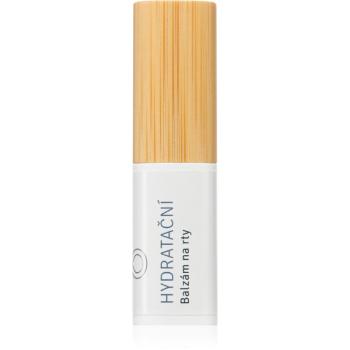 Lobey Skin Care Lip Balm hydratační balzám na rty 5 g