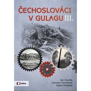 Čechoslováci v Gulagu III. (978-80-7404-328-4)