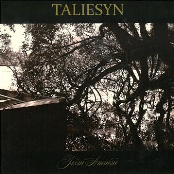 Taliesyn: Jižní Amnésie - CD (MAM413-2)