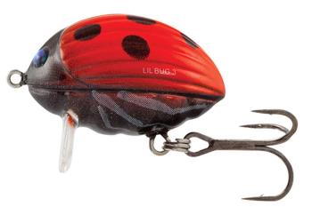 Salmo Wobler Lil' Bug Floating 2cm - Ladybird