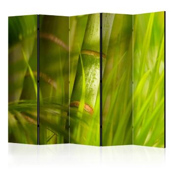 Paraván Bamboo - nature zen Dekorhome 225x172 cm (5-dílný)