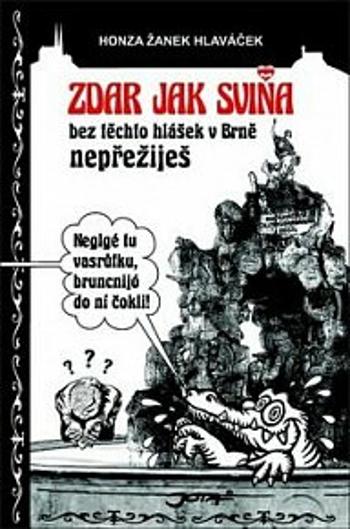 Zdar jak sviňa - Honza Žanek Hlaváček