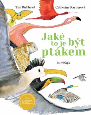 Jaké to je být ptákem - Tim Birkhead, Catherine Raynerová