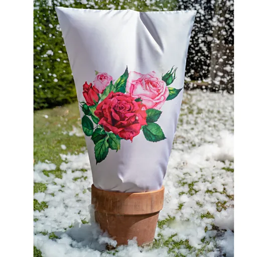 Ochrana rostlin Koťata