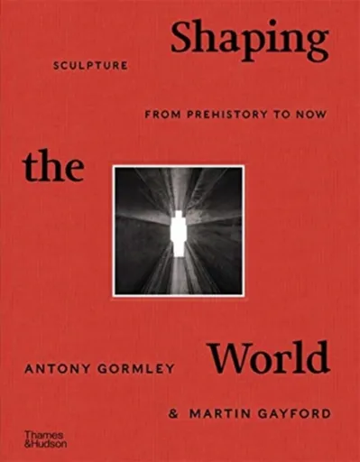 Shaping the World - Martin Gayford, Antony Gormley